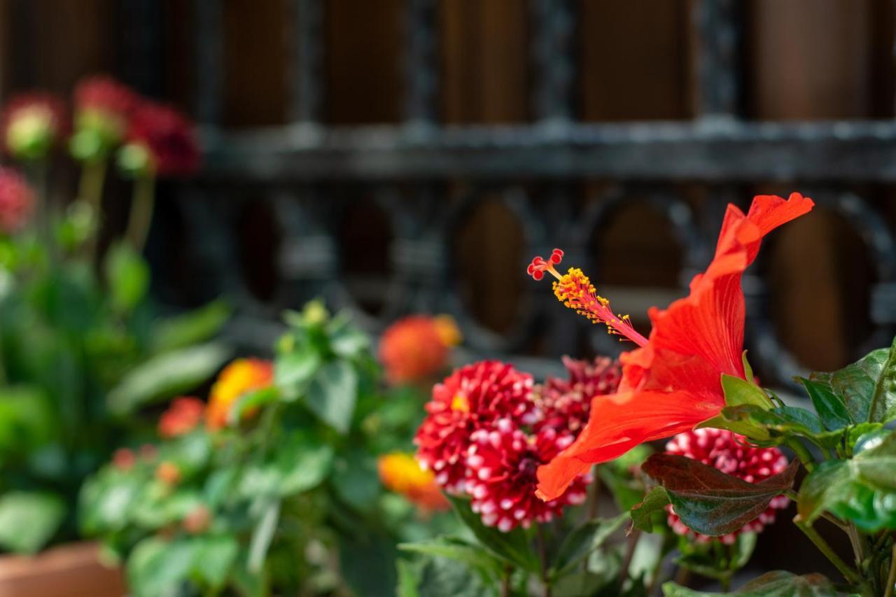 Flores Hotel Alaçatı Eksteriør billede