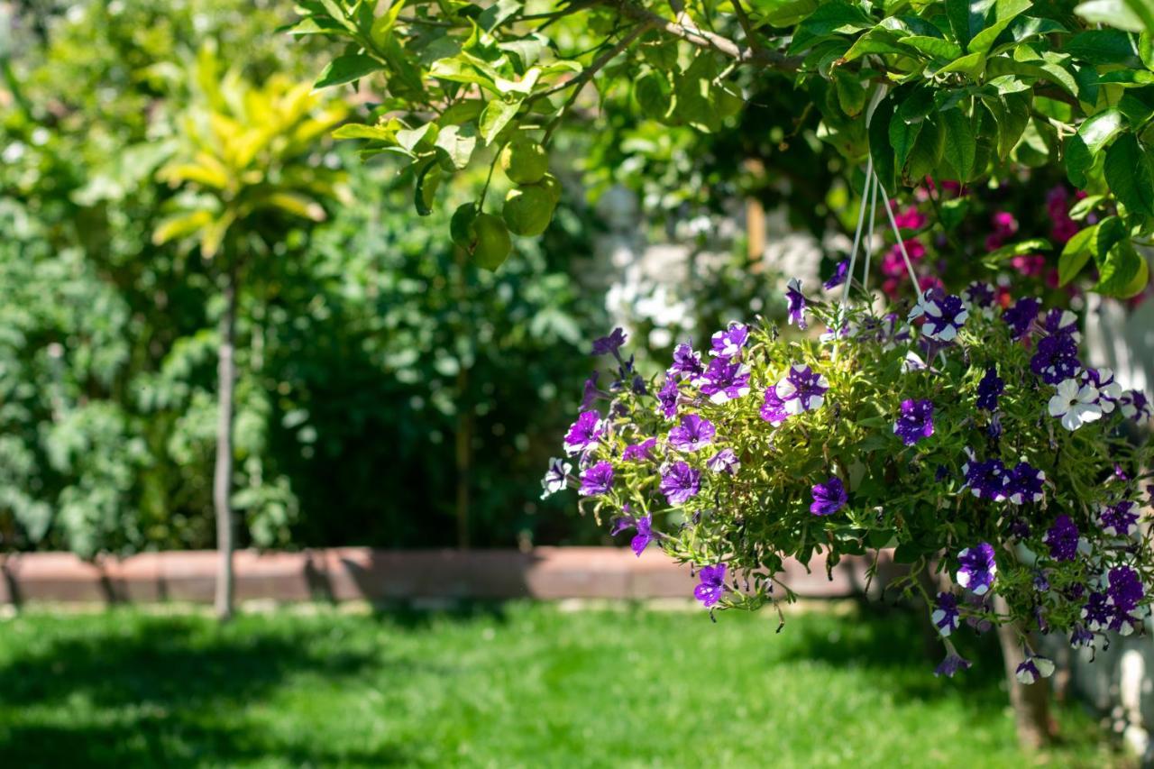 Flores Hotel Alaçatı Eksteriør billede